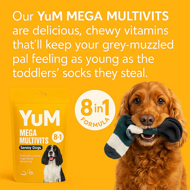 Advanced Senior Dog Vitamins