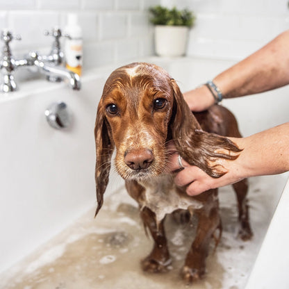 Buddy Gentle Fur Wash