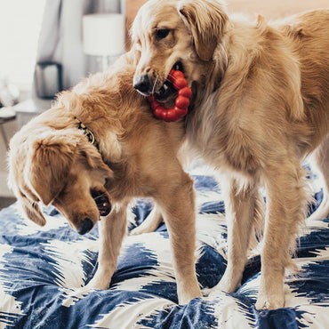 Durable Rubber Ring Toy