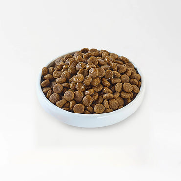 Natural Dog Food Topper