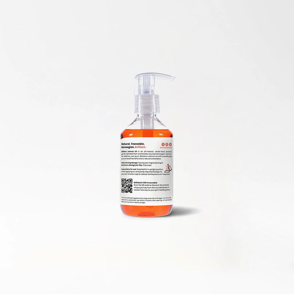 Oil Supplement For Dogs