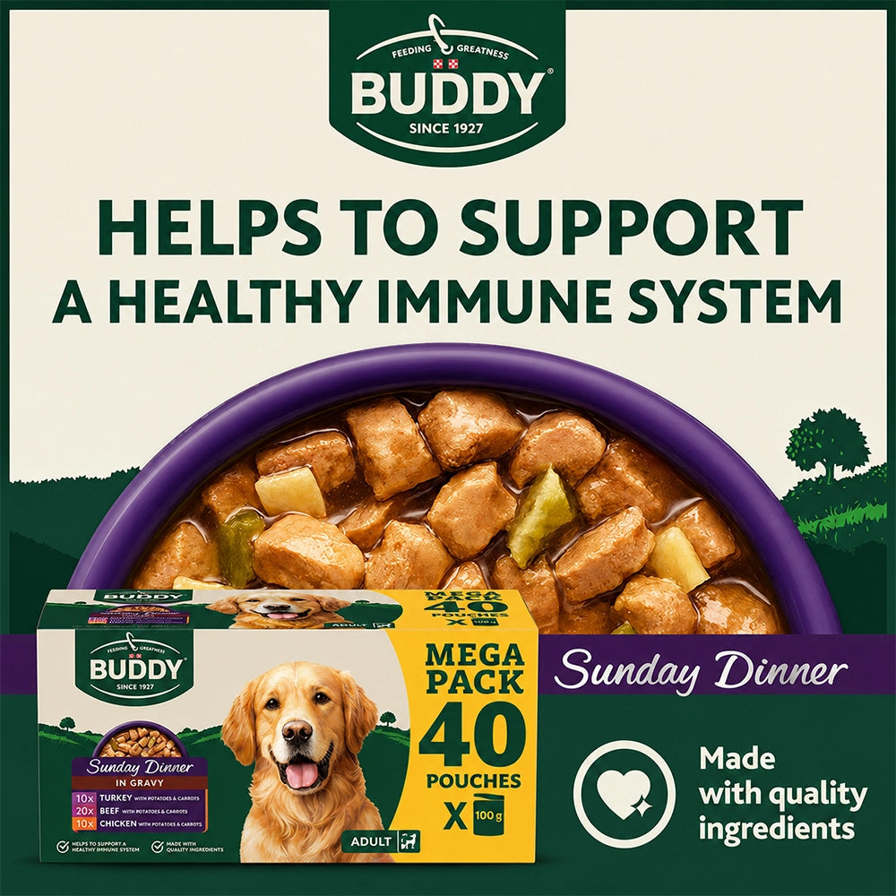 Adult Wet Dog Variety Pack