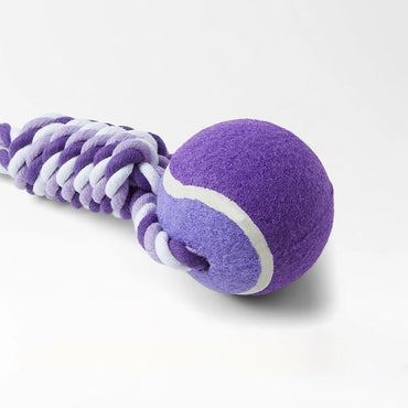 Colorful Rope Ball Chew