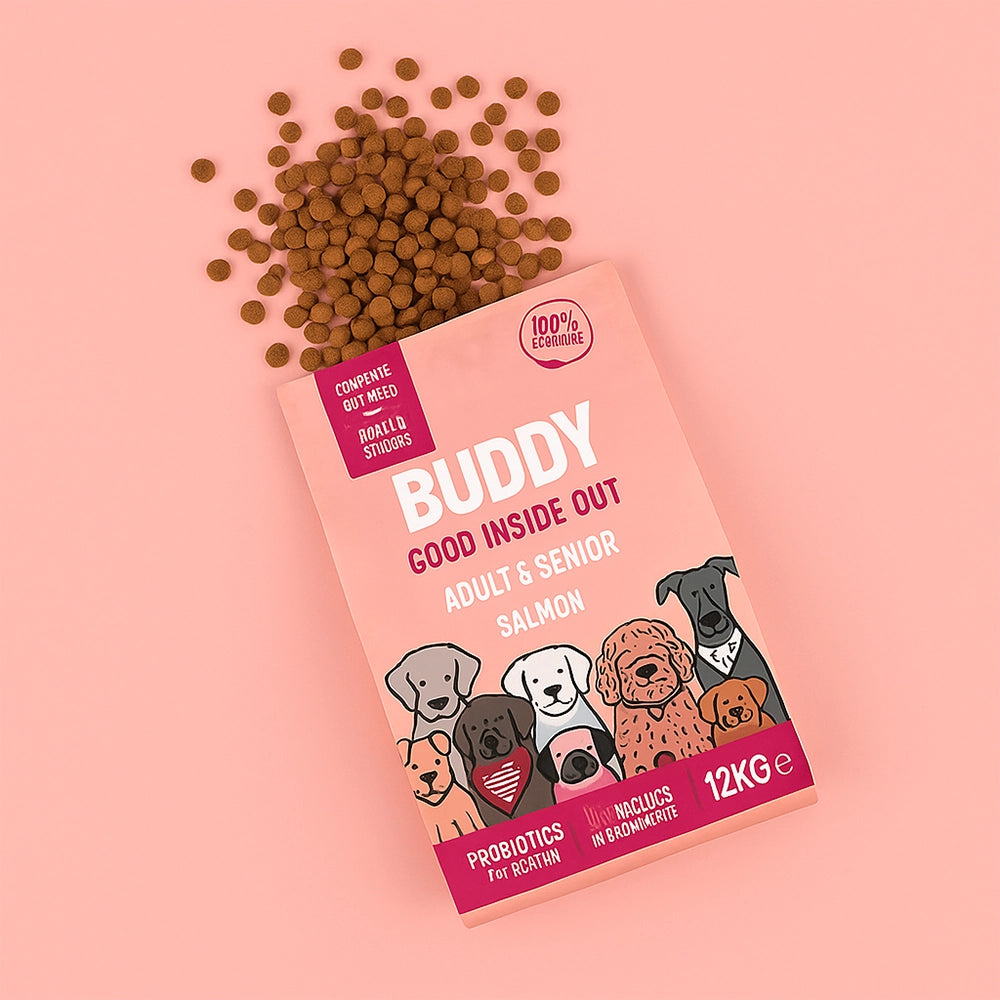 Gut Friendly Salmon Kibble