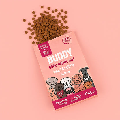 Gut Friendly Salmon Kibble