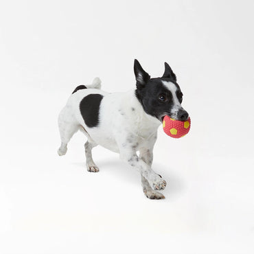 Textured Rubber Dog Balls