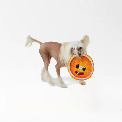 Ruff & Tuff Dog Toy