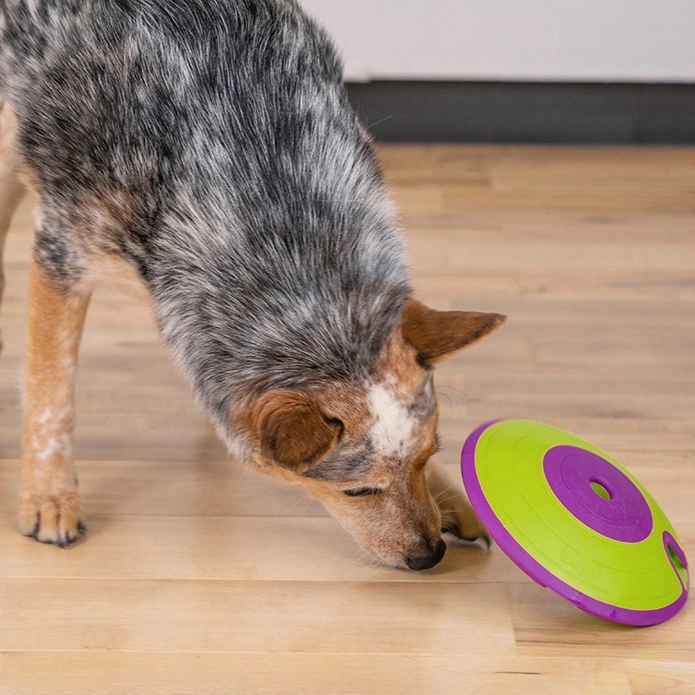 Interactive Spinning Dog Puzzle