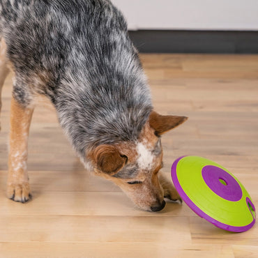 Interactive Spinning Dog Puzzle