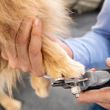 Buddy Grooming Nail Clippers