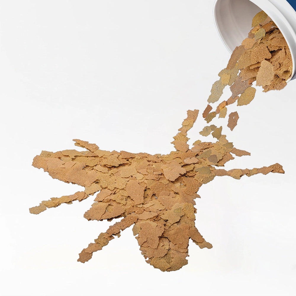 Protein Rich Goldfish Flakes