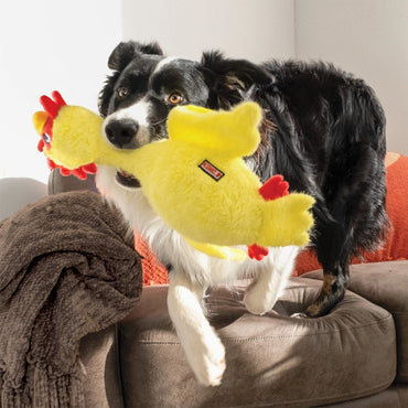 Funny Chicken Tug Toy