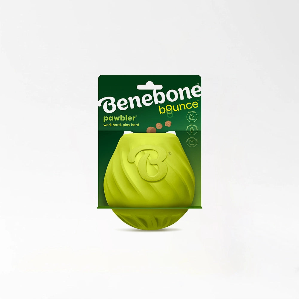Fun Bounce Dog Toy