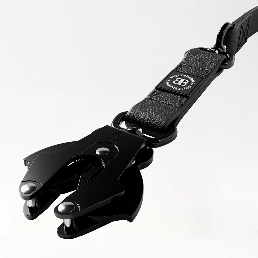 Durable Long Training Leash