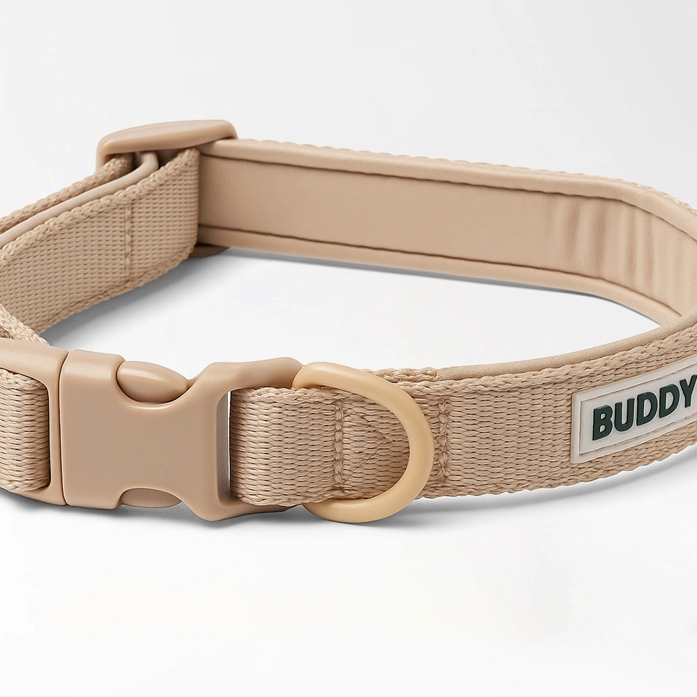 Adjustable Nylon Dog Collar