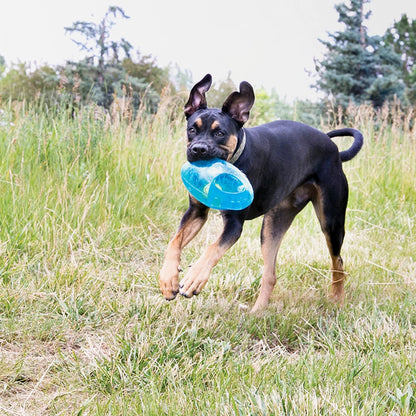Interactive Oval Dog Toy
