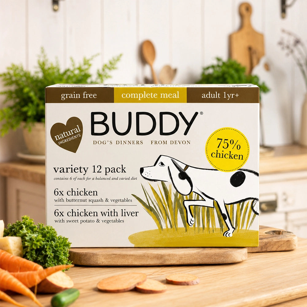 Healthy Wet Dog Meal