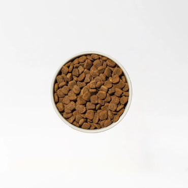 Natural Senior Dog Food