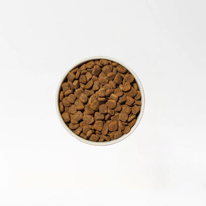 Natural Senior Dog Food