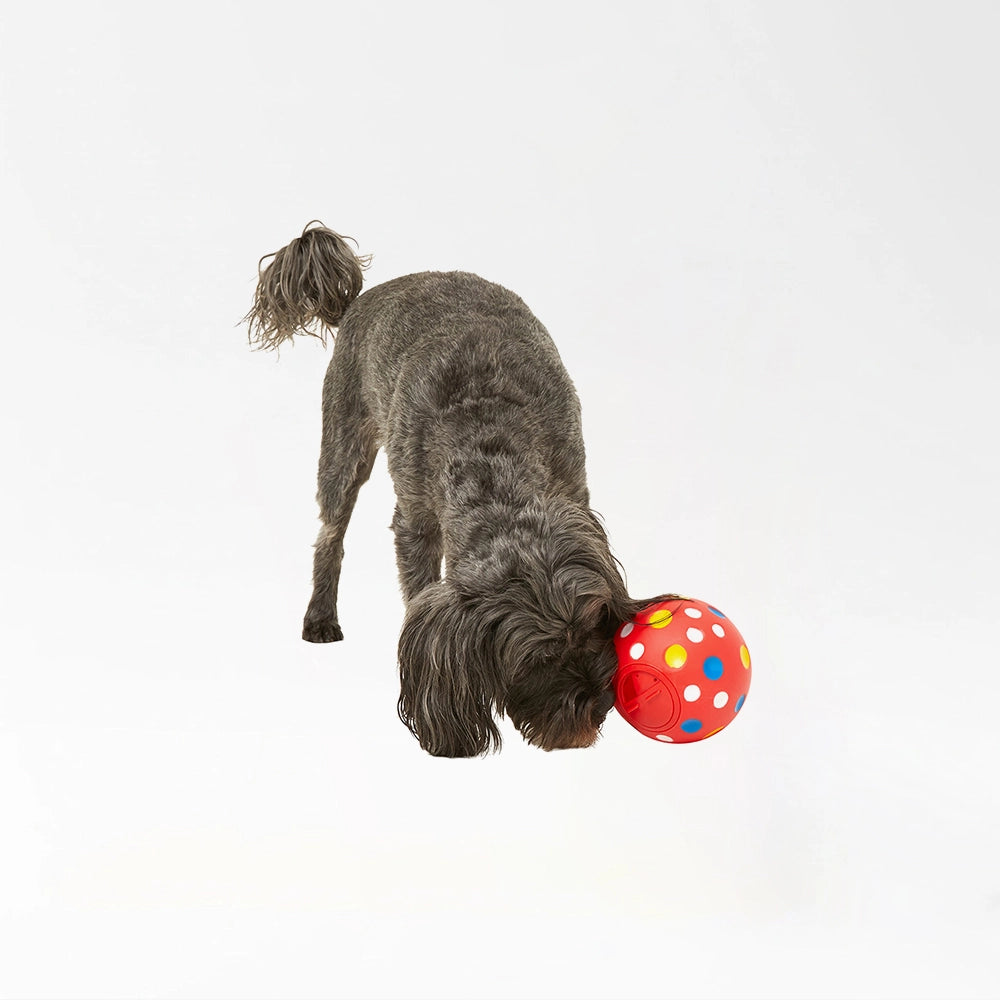 Spotted Reward Puzzle Toy