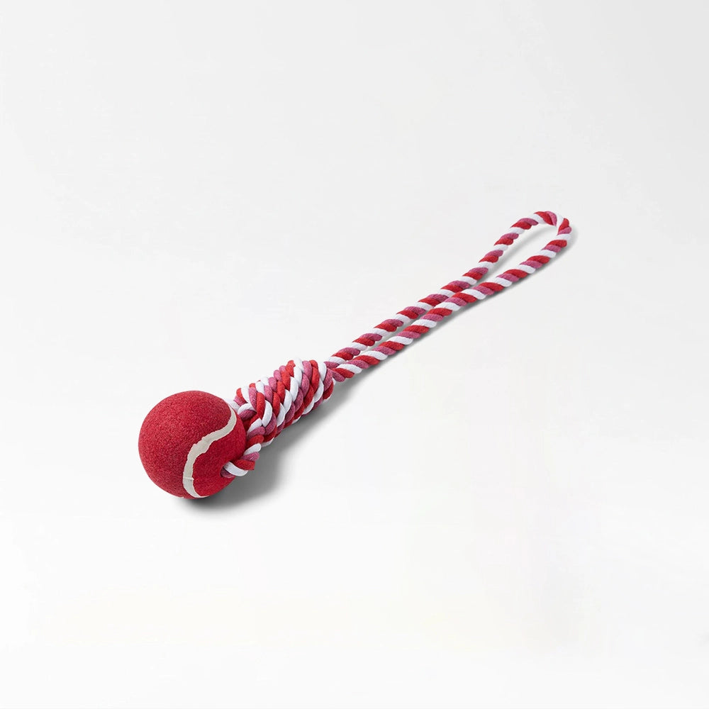 Colorful Rope Ball Chew