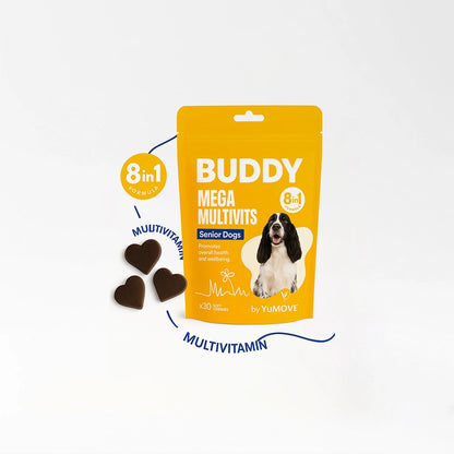 Advanced Senior Dog Vitamins
