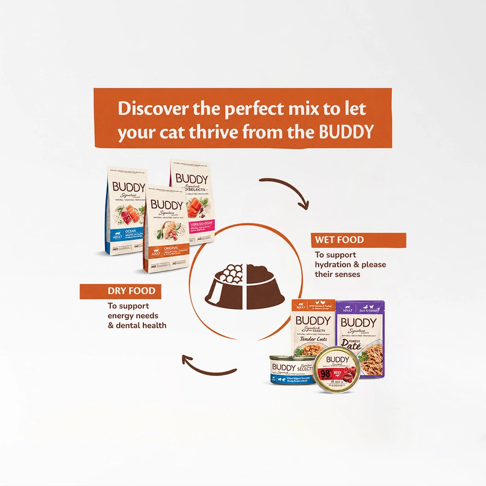 Grain Free Cat Food