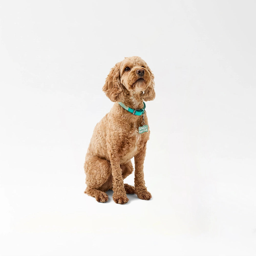 Stylish Spoilt Rotten ID Tag