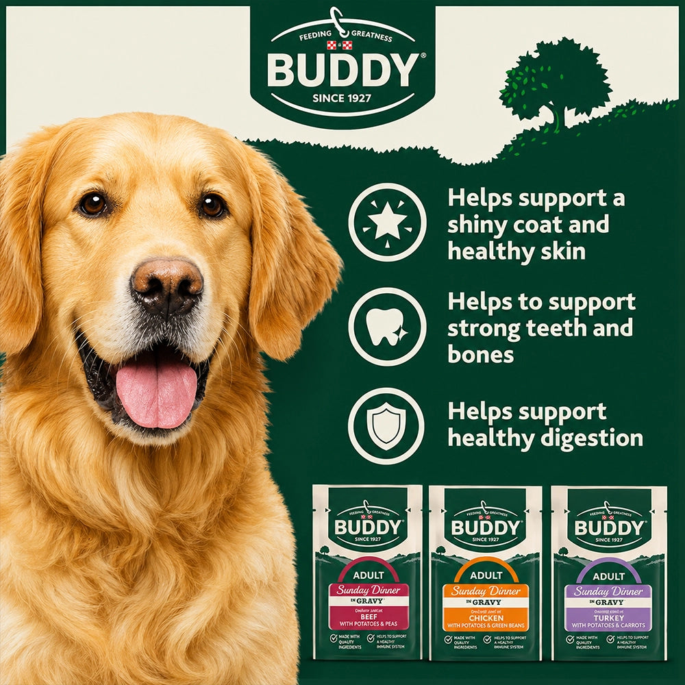 Adult Wet Dog Variety Pack
