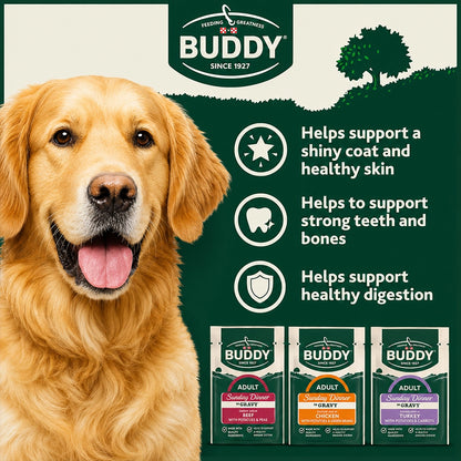 Adult Wet Dog Variety Pack