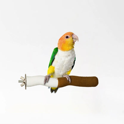 Bird Nail Trimming Perch