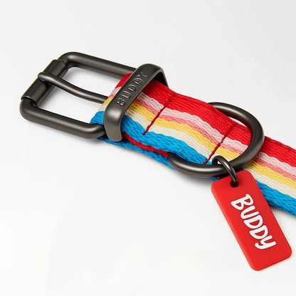 Buddy Rainbow Stripe Collar