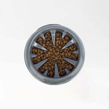 Healthy Slow Feeding Bowl