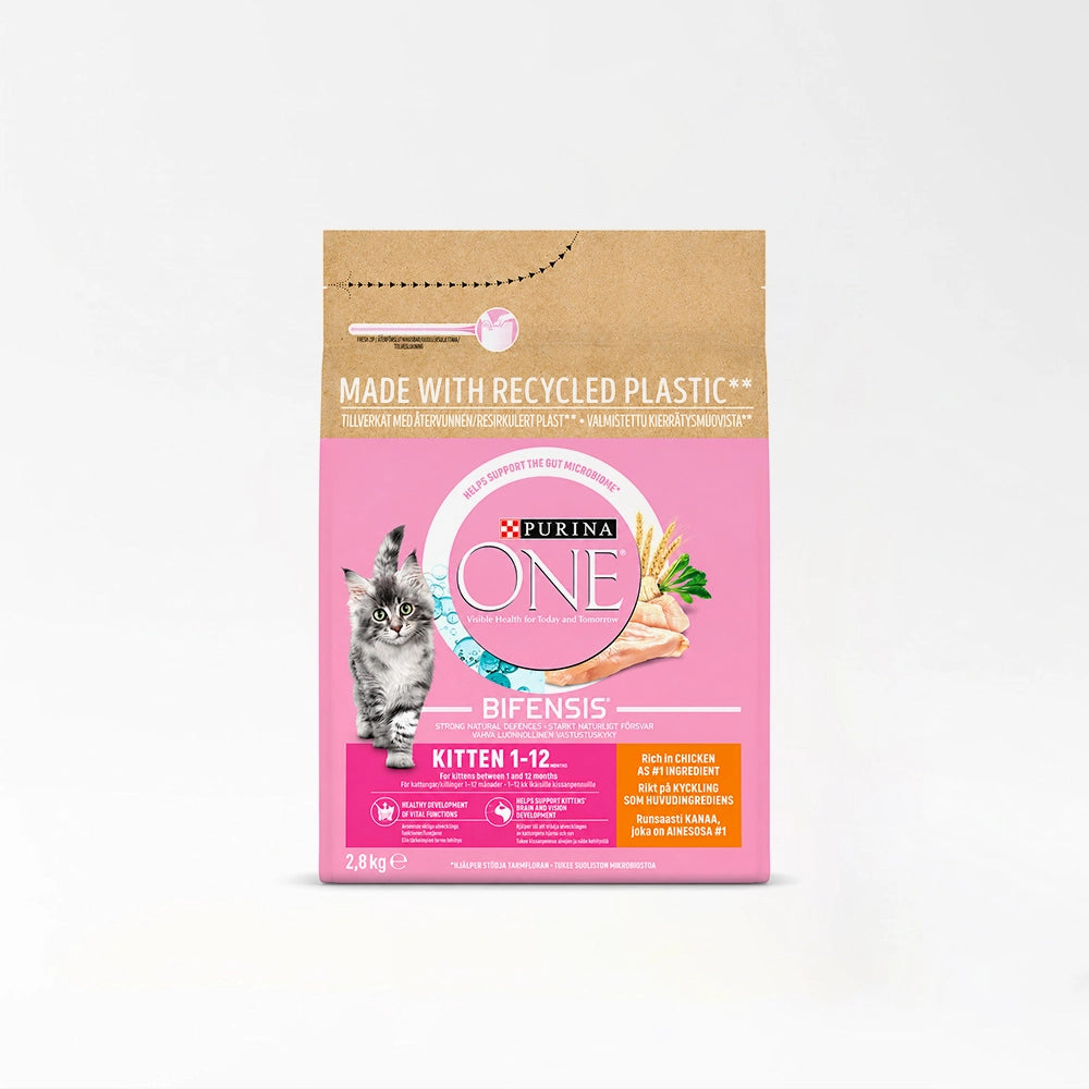 Premium Kitten Dry Food
