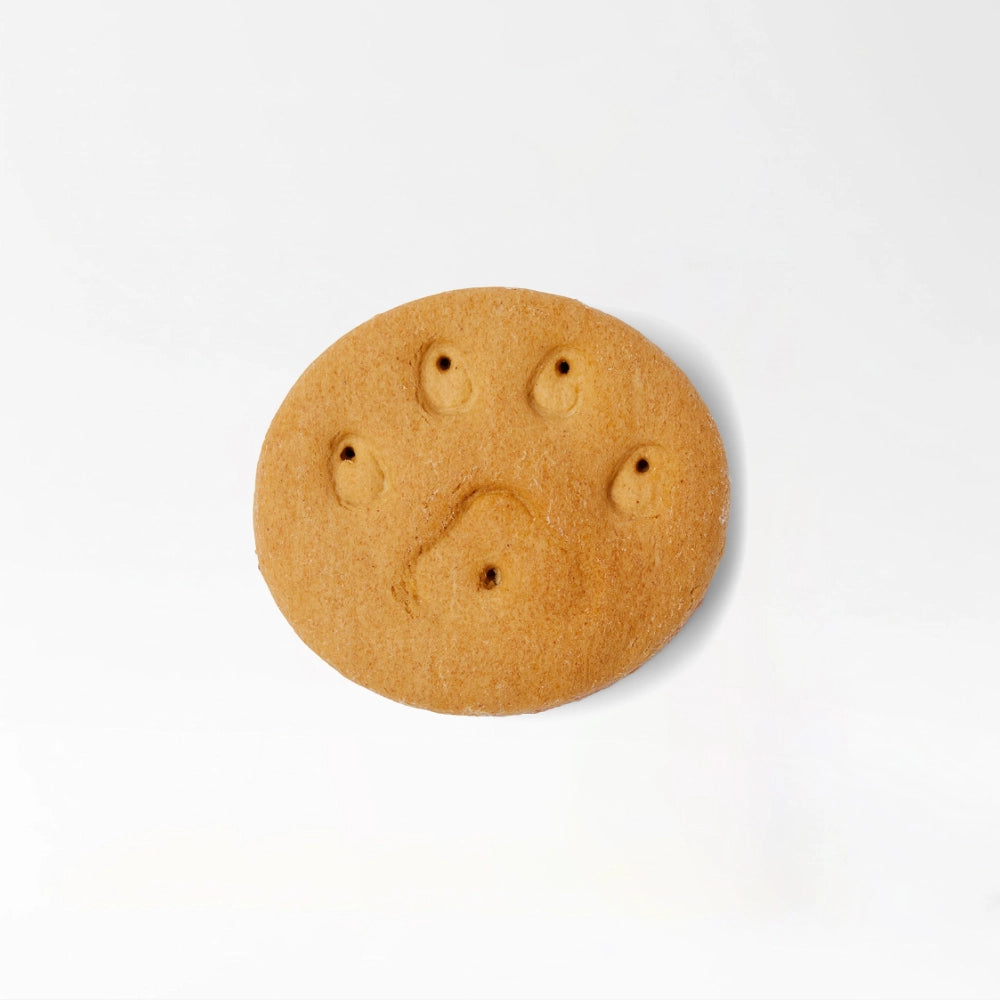 Premium Dog Snack Biscuits