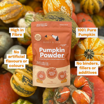 Pumpkin Powder For Dogs