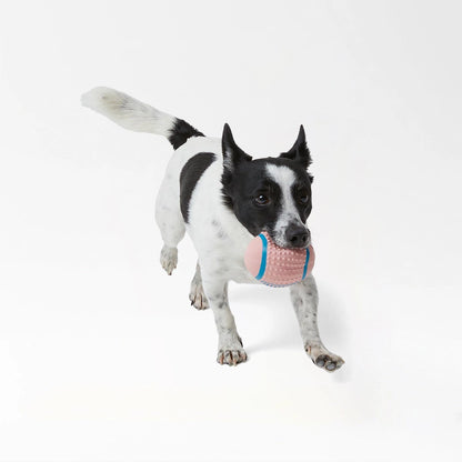 Textured Rubber Dog Balls