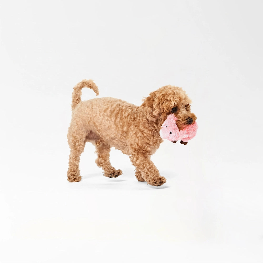 Plush Pig Squeaky Toy