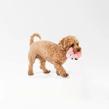 Plush Pig Squeaky Toy