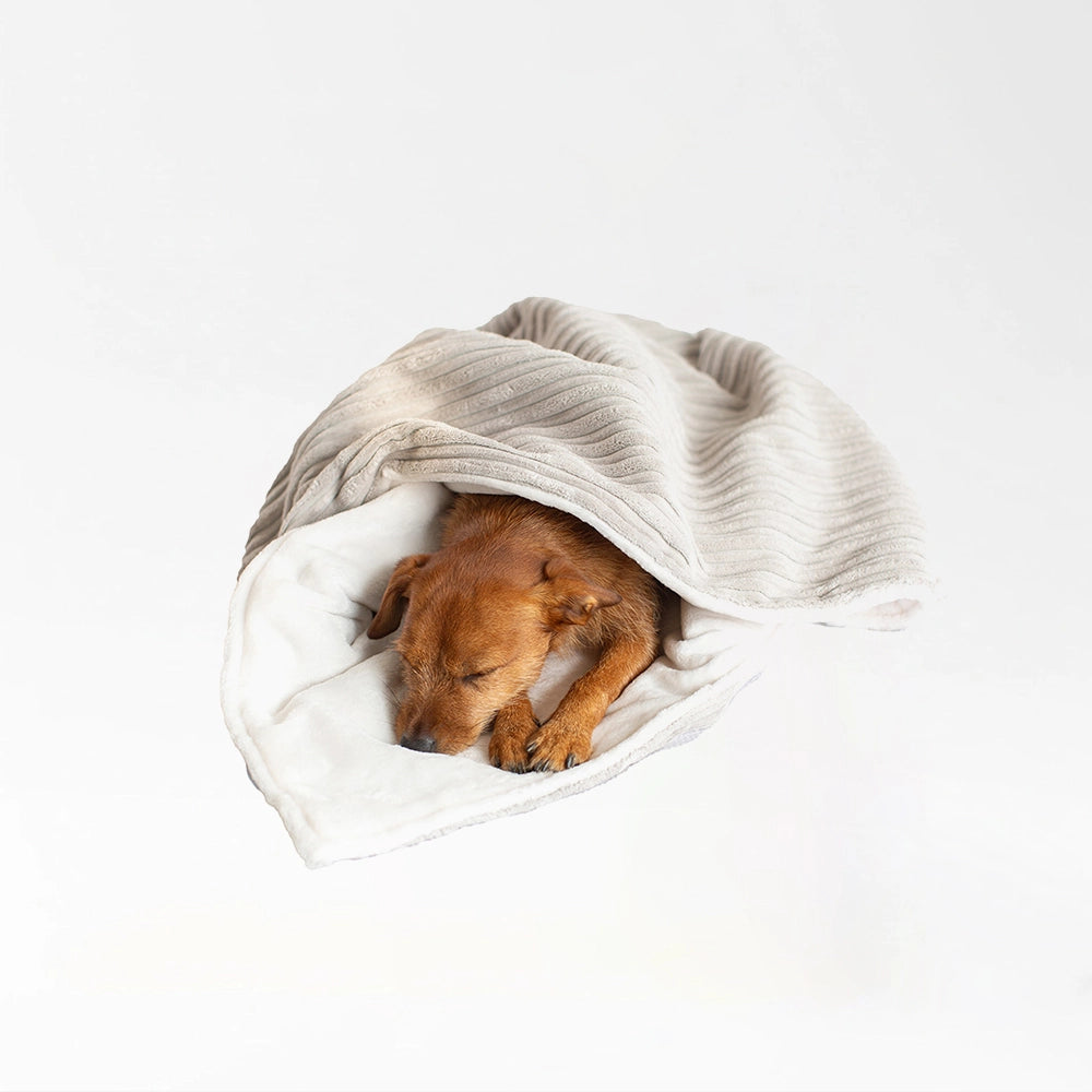 Comfy Pet Nap Blanket