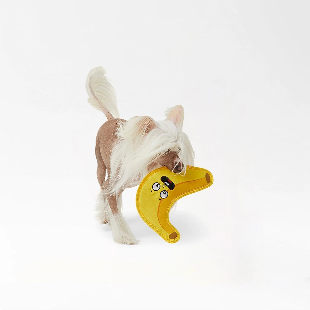 Ruff & Tuff Dog Toy