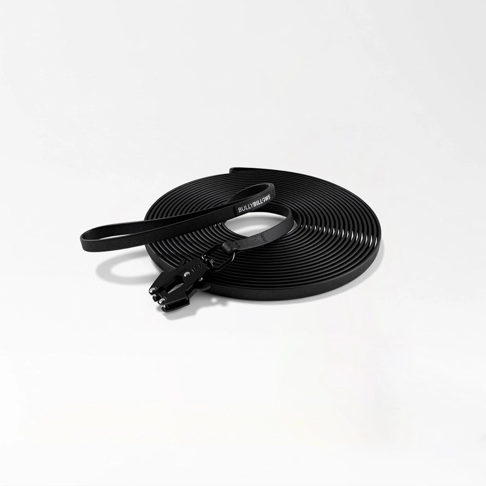 Durable Long Training Leash