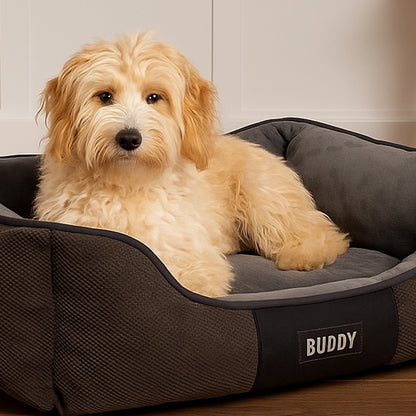 Buddy Comfort Lounge Bed