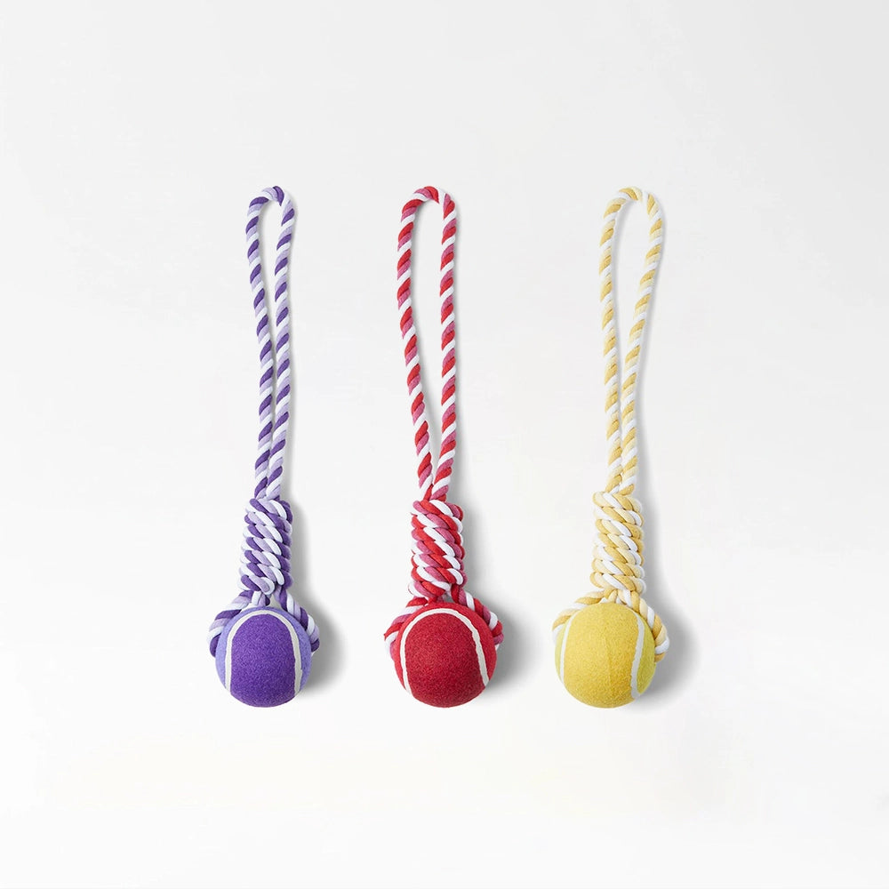 Colorful Rope Ball Chew