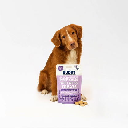 Chewy Calming Dog Snacks