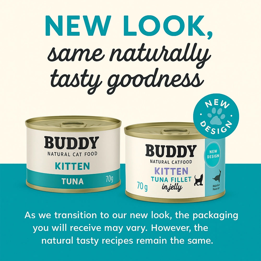 Kitten Tuna Fillet Treat