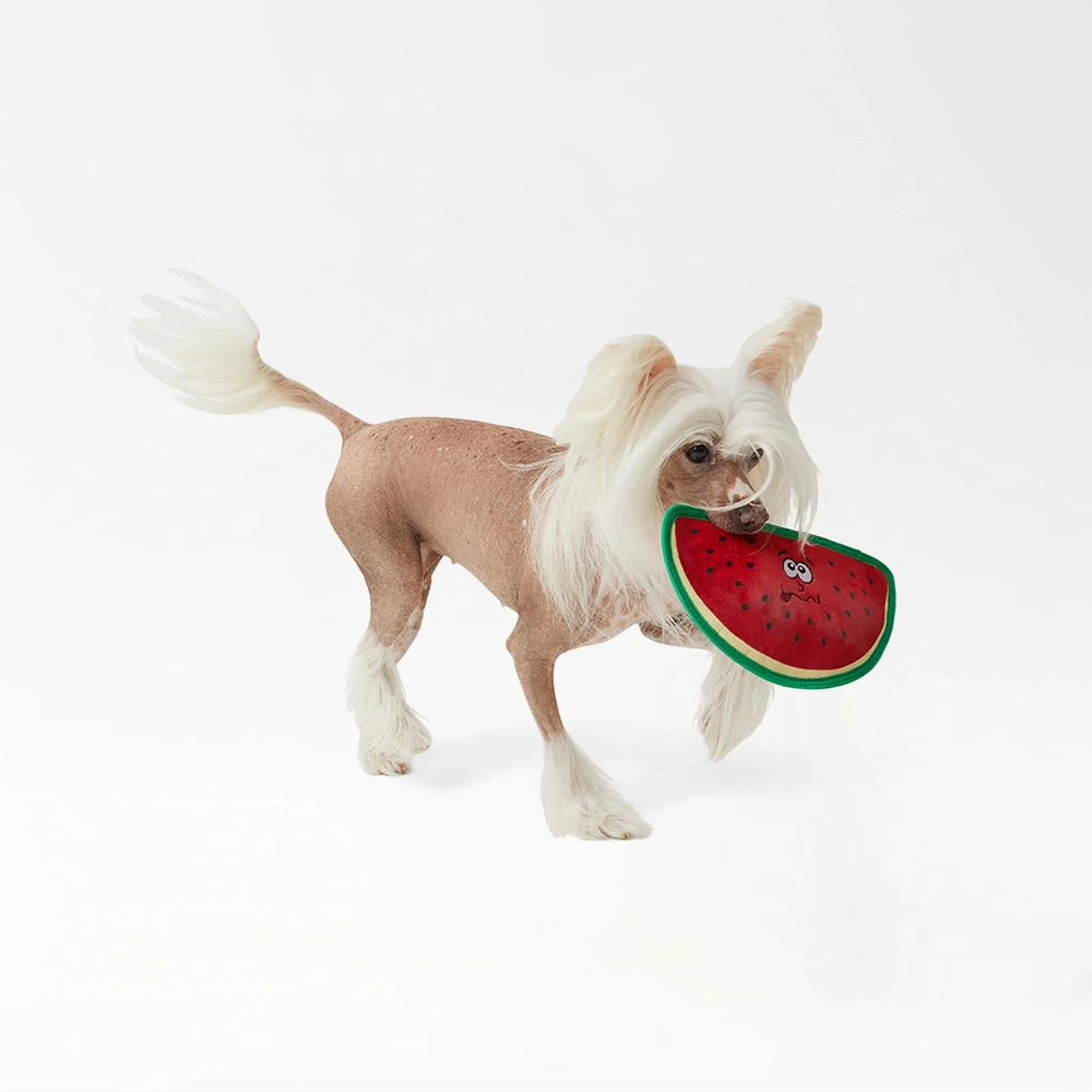 Ruff & Tuff Dog Toy