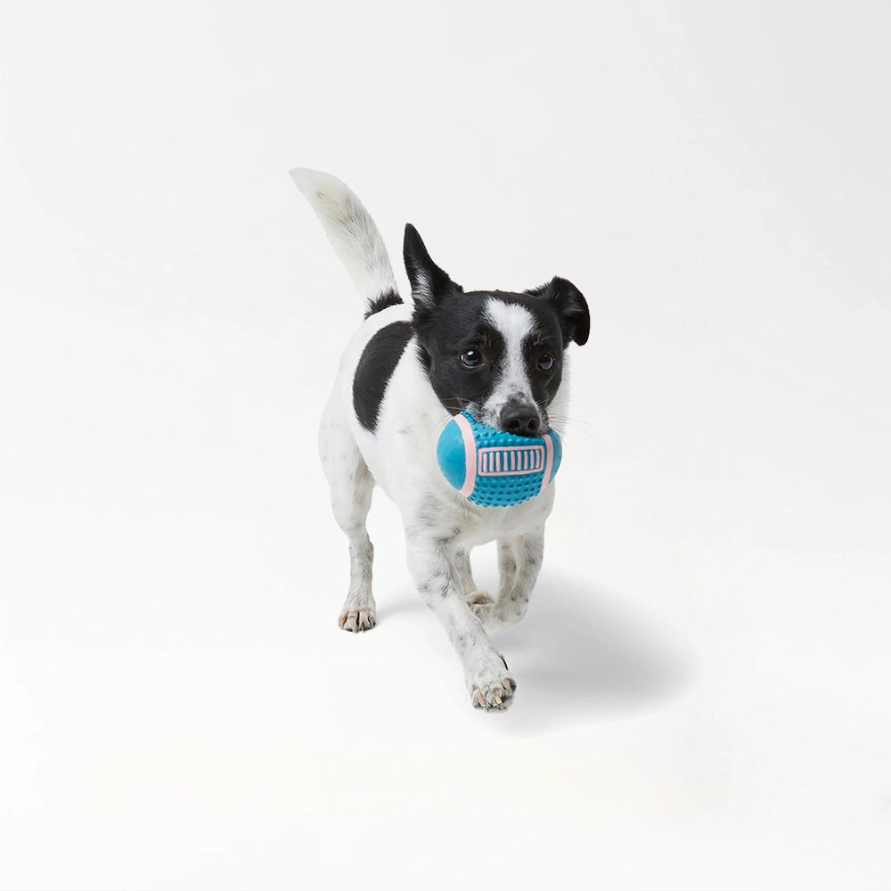 Textured Rubber Dog Balls