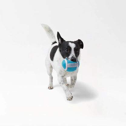 Textured Rubber Dog Balls