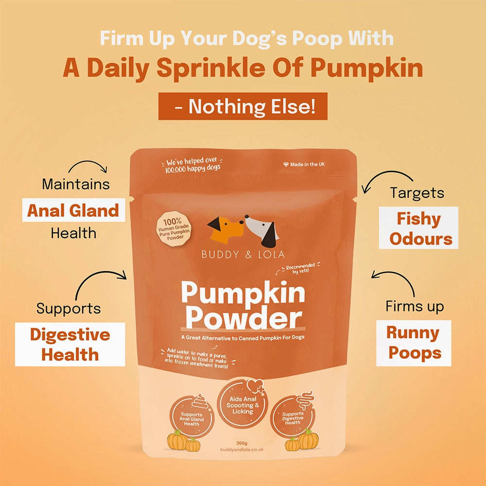 Pumpkin Powder For Dogs